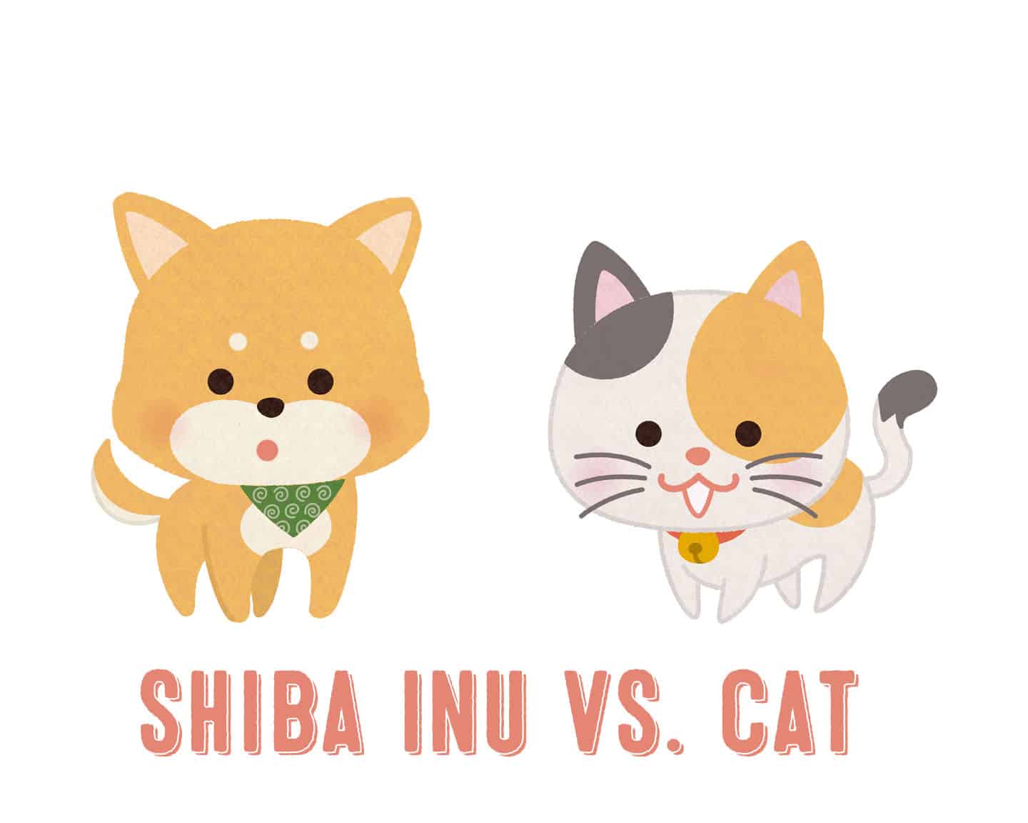 shiba inu and cat