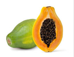 foods for shiba inu papaya