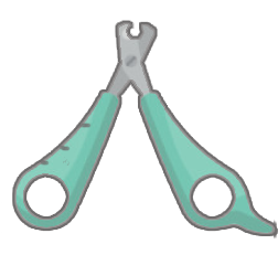 scissors for shiba inu grooming