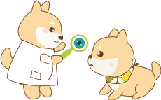 Shiba Inu cute cartoon vet eye exam