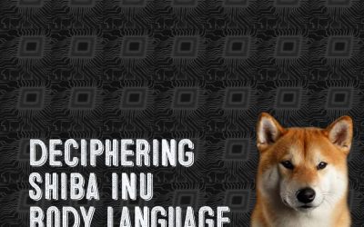 Deciphering Shiba Inu Body Language