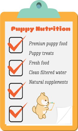 shiba inu puppy shopping checklist