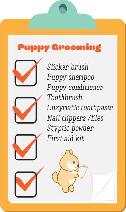 shiba inu puppy shopping checklist