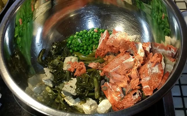 homemade dog food recipe options