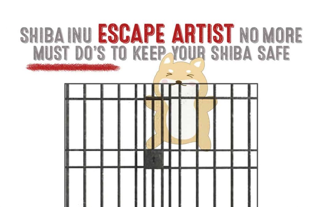 shiba inu escape artist cartoon