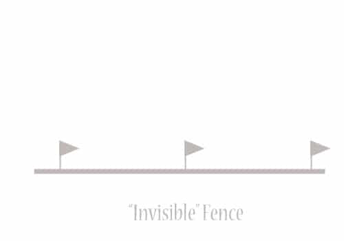 invisible dog fence graphic