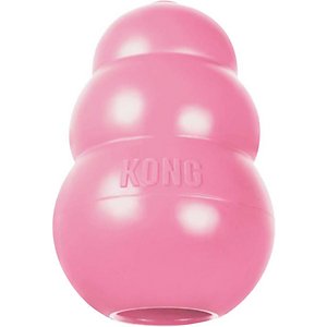 kong classic chew toy