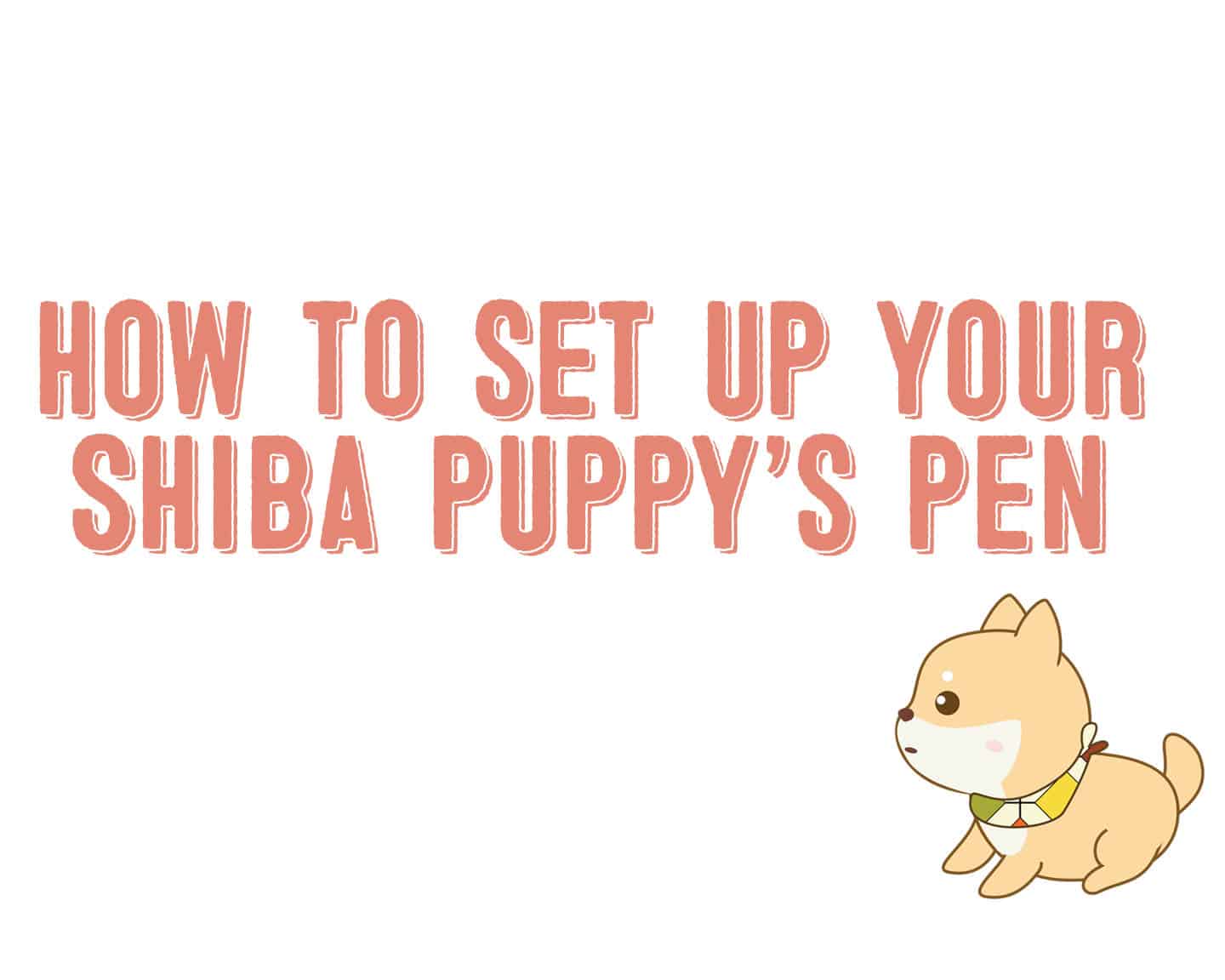 setting up shiba inu puppy pen