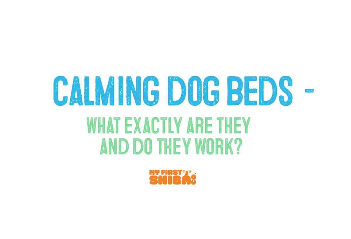 calming dog beds do they work