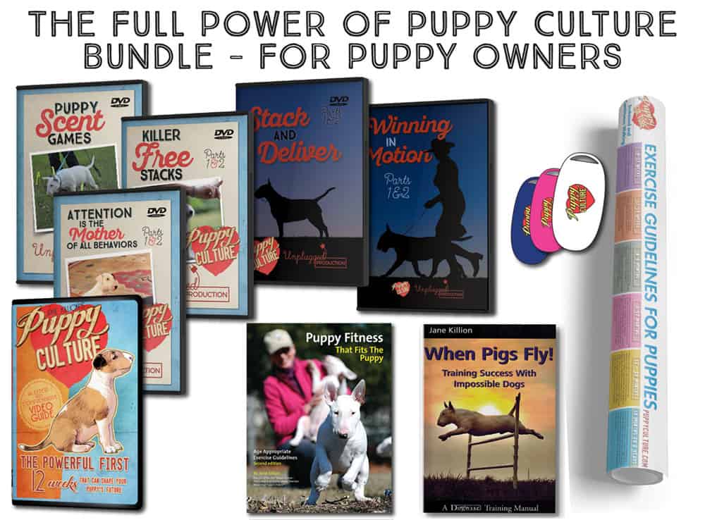 The Impossible Dog Bundle (DVD format) – PUPPY CULTURE