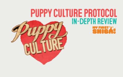 Puppy Culture Protocol Review