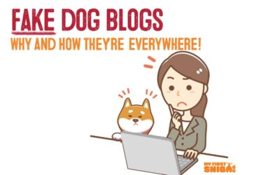 Fake Dog Blogs – Why and How They’re EVERYWHERE!!