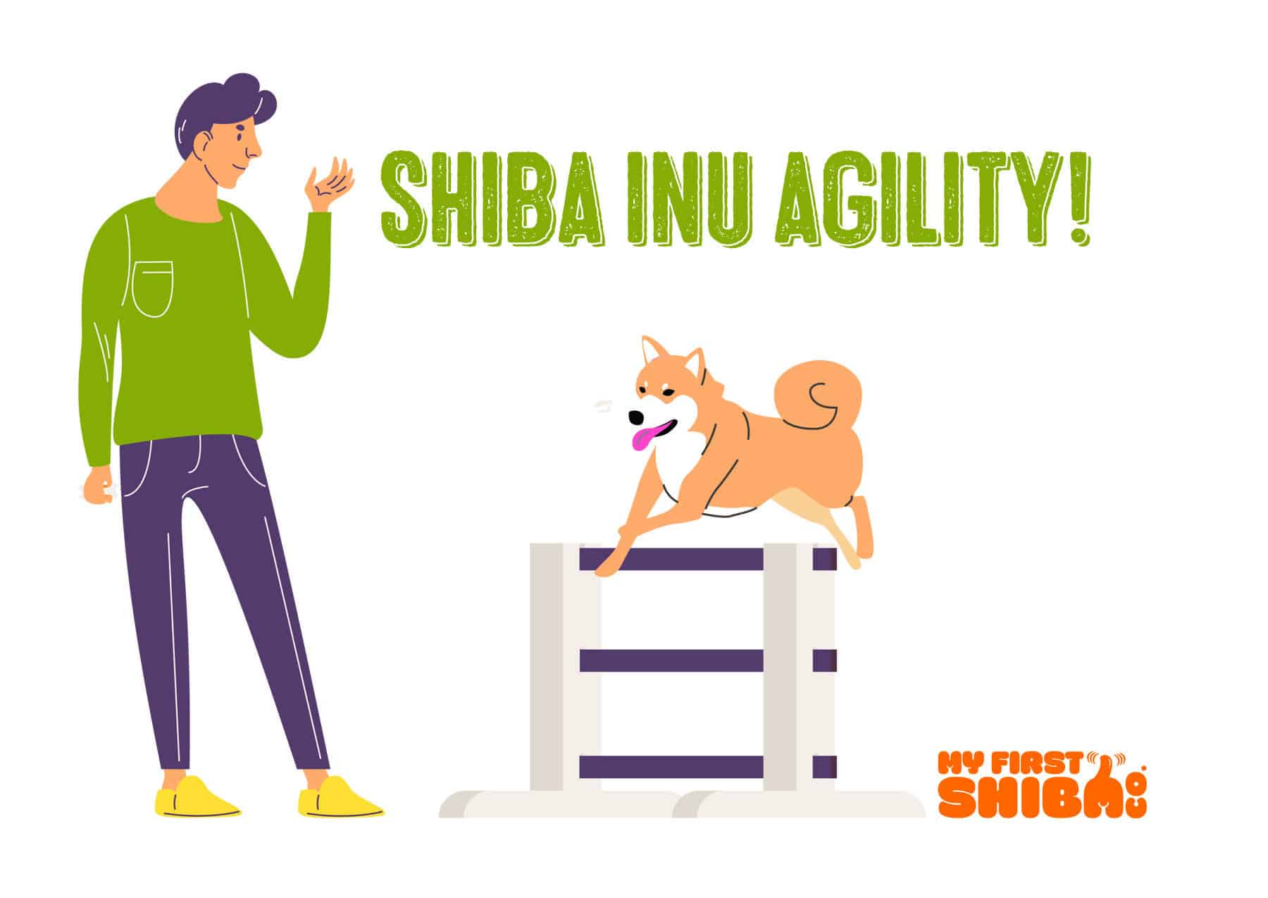 shiba inu agility infographic