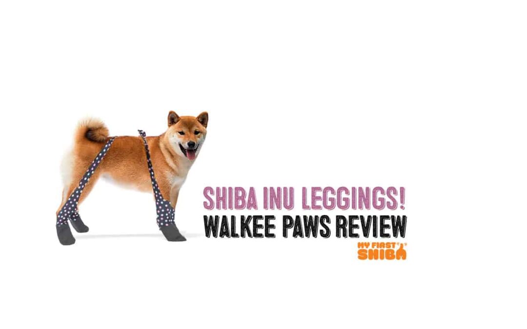 shiba inu walkee paws dog leggings review