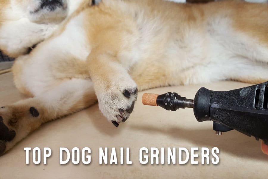 shiba inu dog nail grinders