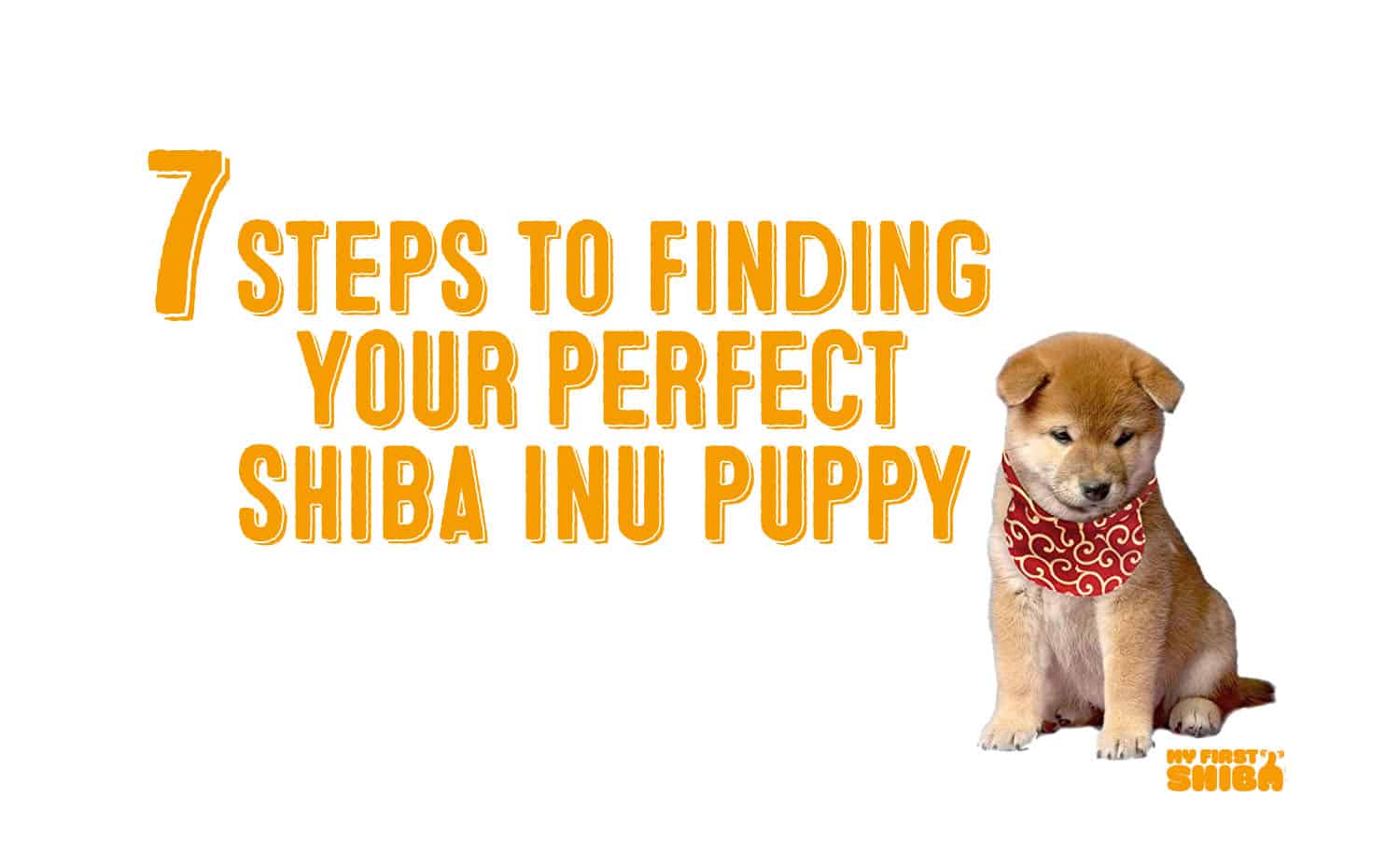 Shiba inu puppies hot sale for sale craigslist