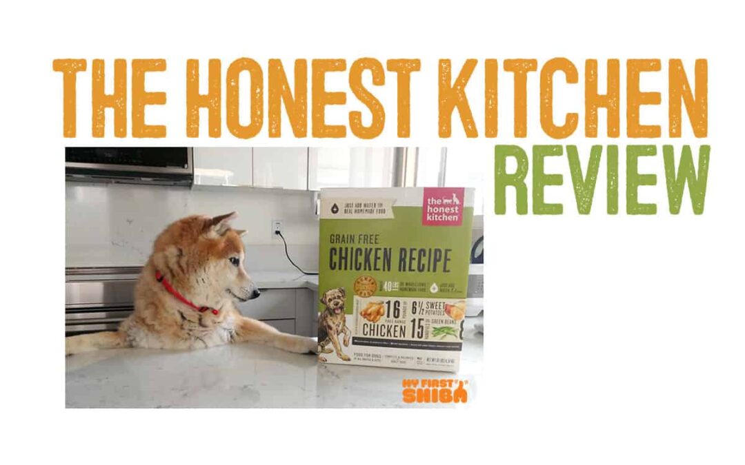 Honest Kitchen Dog Food Review My First Shiba Inu