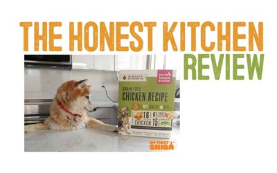 Honest Kitchen Dog Food Review