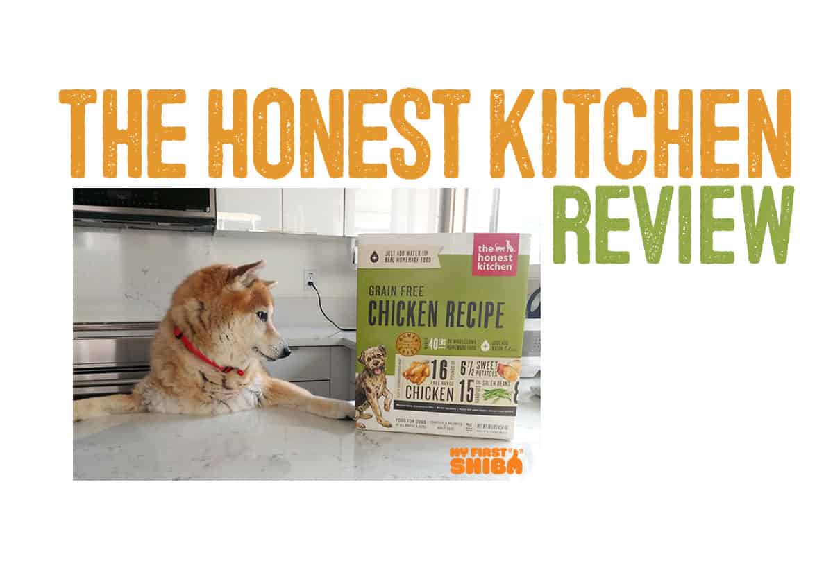 the honest kitchen dog food review by my first shiba inu