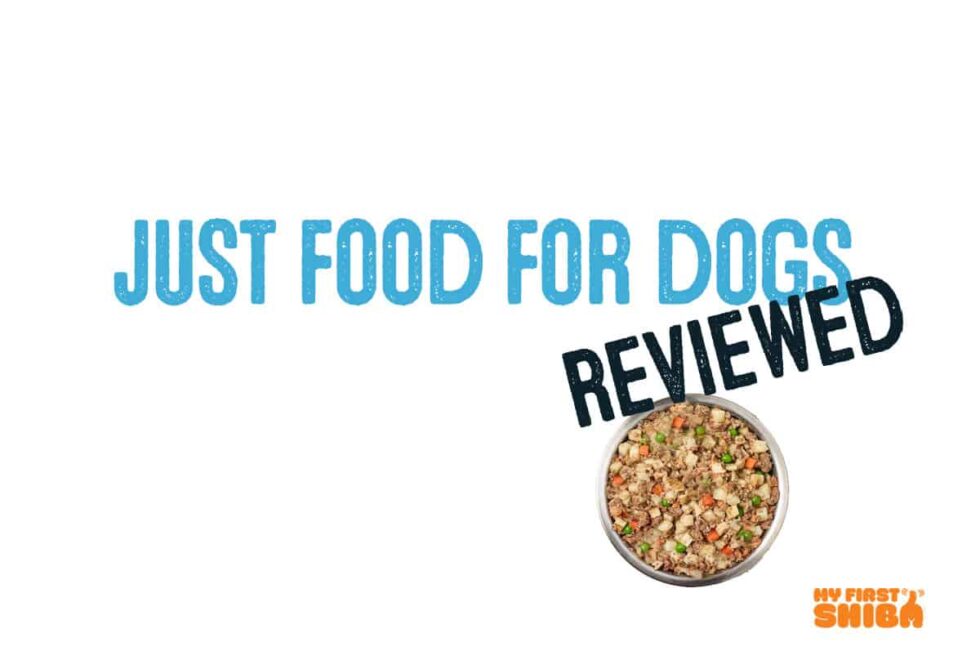 Best Dog Food For Shiba Inus My First Shiba Inu