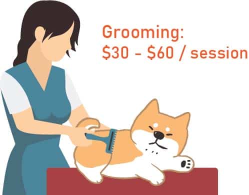 cost of grooming service shiba inu