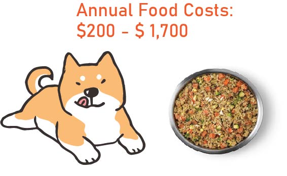 annual food costs shiba inu dog