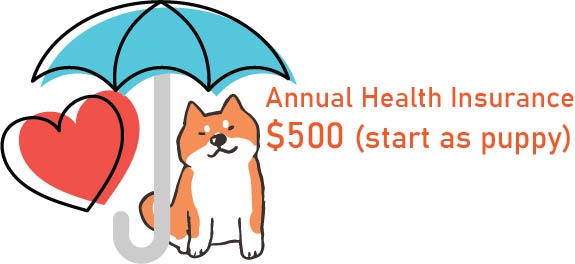 annual pet insurance cost shiba inu starting at puppy hood