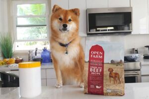 shiba inu likes open farm dog food
