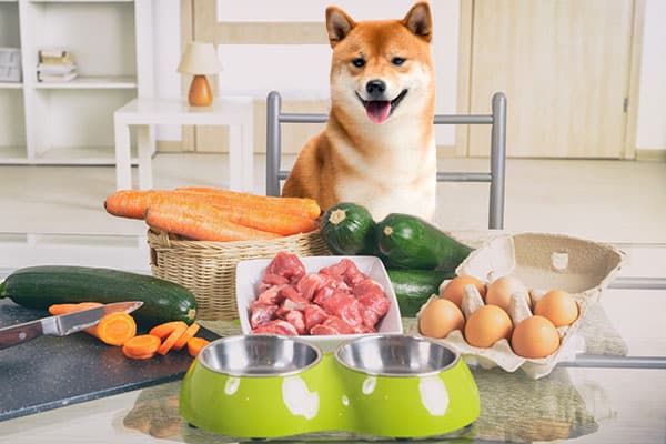 shiba inu healthy fresh raw home cooked diet meal