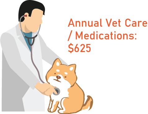 annual veterinary medication cost shiba inu