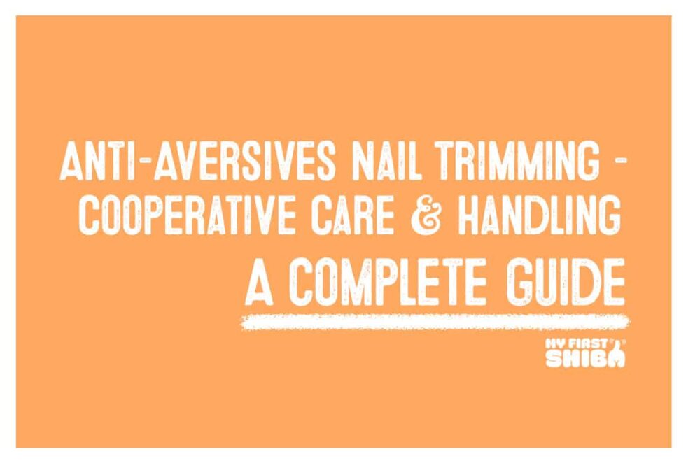 AntiAversives Nail Trimming Cooperative Care & Handling My First