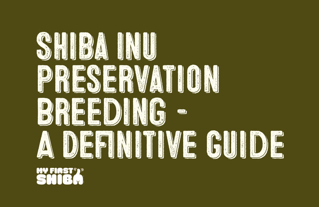Shiba Inu Breeding A definitive guide to breed preservation