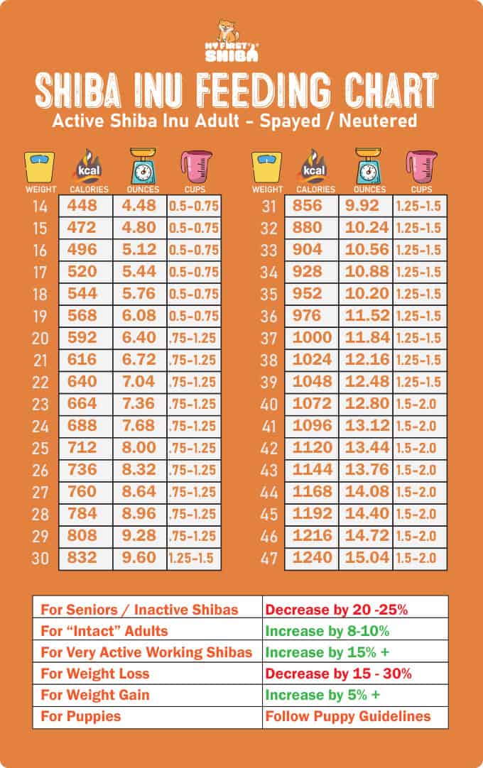 Handy Shiba Inu feeding chart