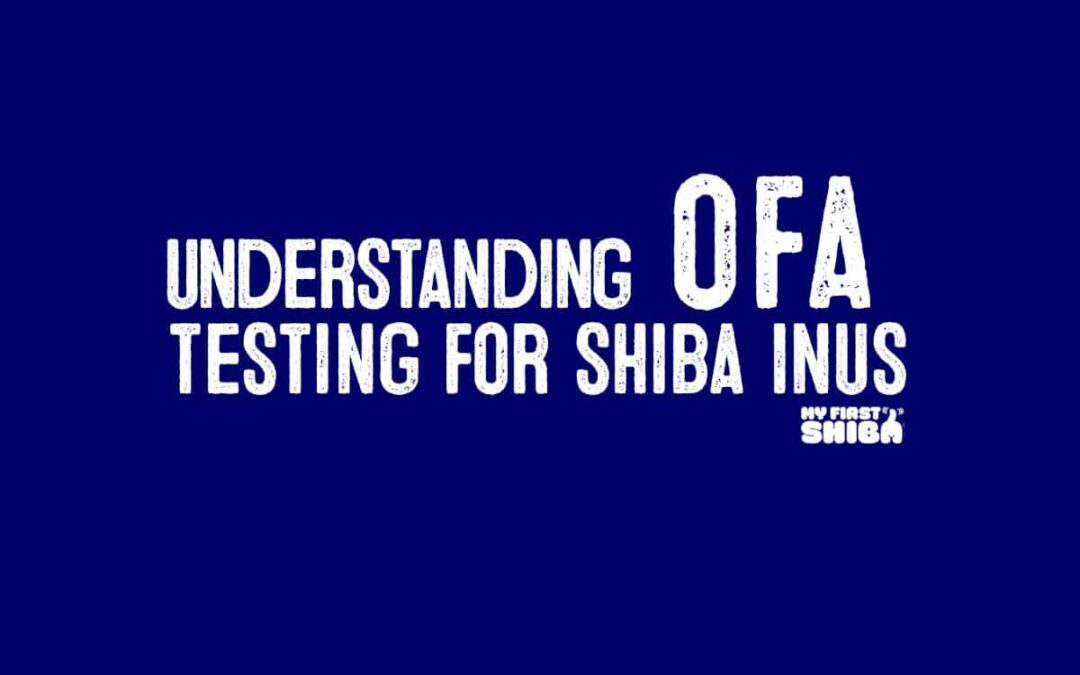shiba inus and ofa testing