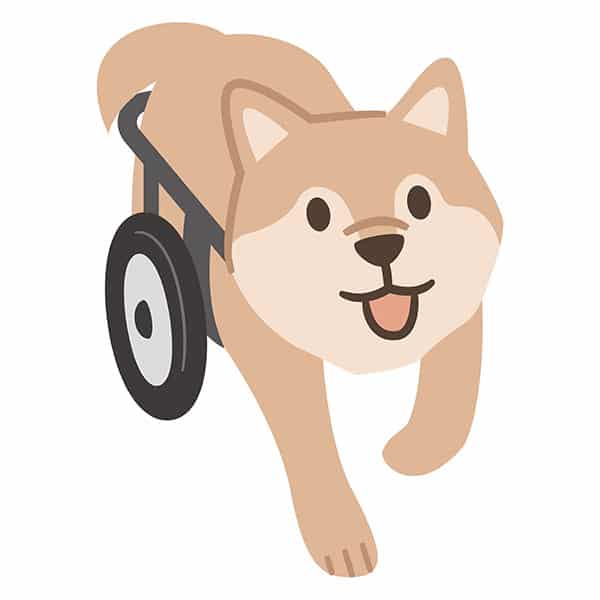 illustration dog in wheelchair shiba inu