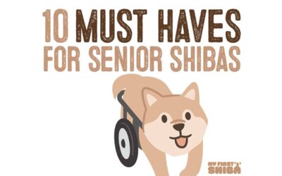 10 Must Have’s For Senior Shibas!