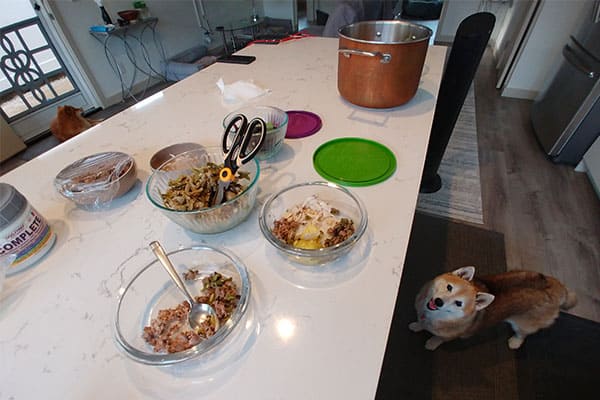 cooking for shiba inu