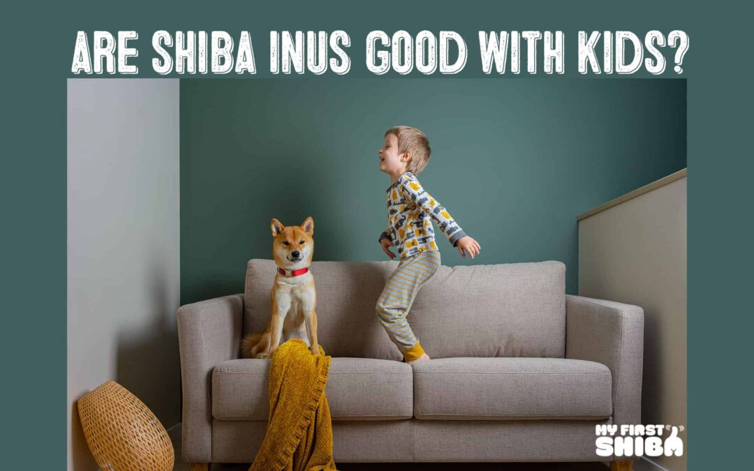 Are Shiba Inus good with kids infographic