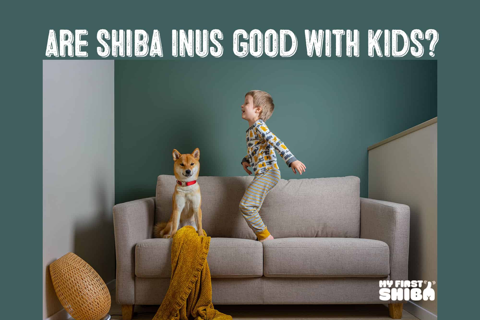 Shiba inu hot sale children