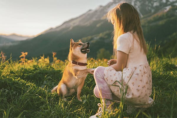 young girl with shiba inu in beautiful natural backdrop