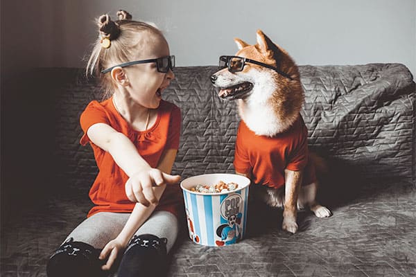 happy shiba inu with young child