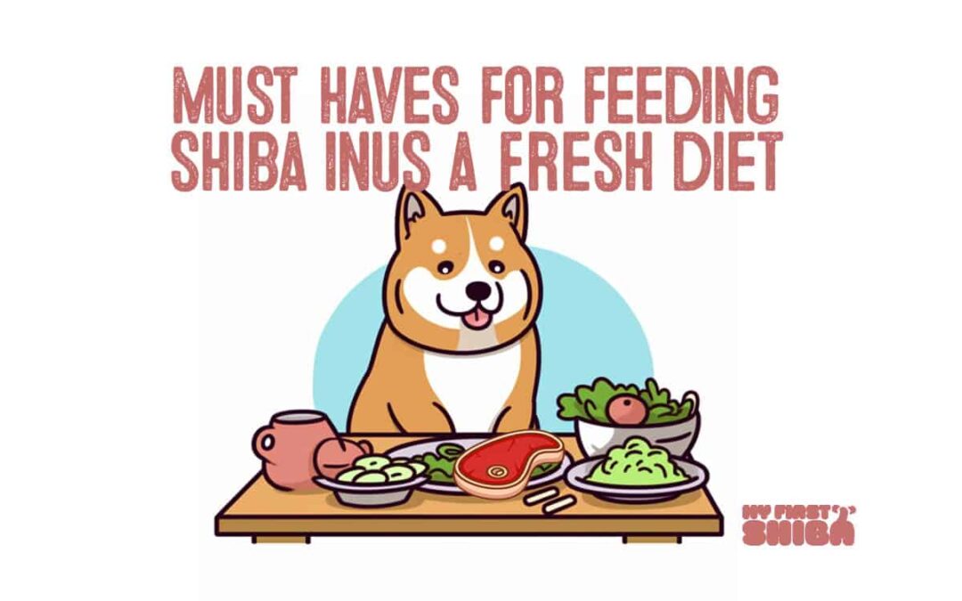 Must Haves For Feeding Your Shiba Inu a Fresh Homemade Diet