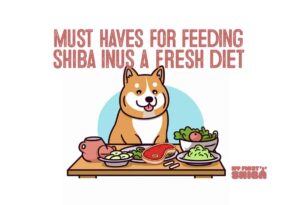 must haves feeding shiba inu fresh homemade diet