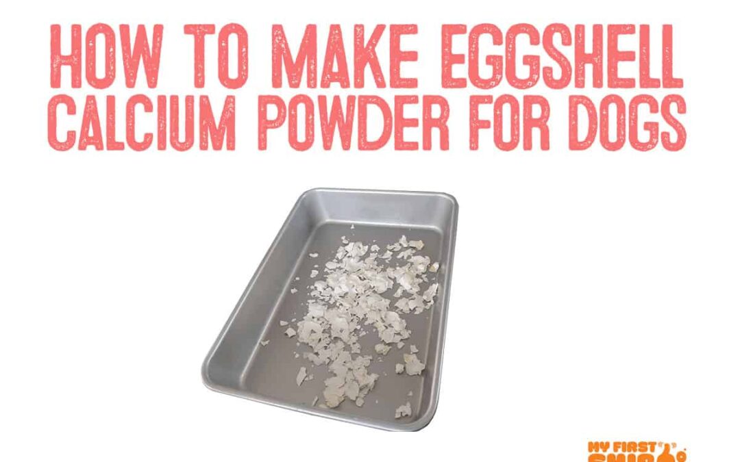 How to make eggshell powder for calcium for dogs infographic