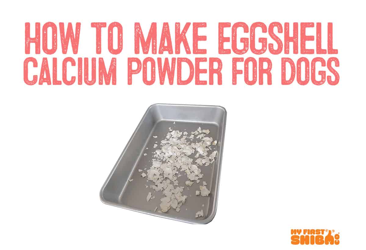 How To Easily Make Eggshell Calcium Powder For Dogs My First Shiba Inu
