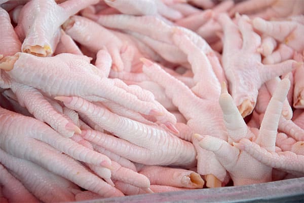 raw chicken feet for dog's fresh made meals