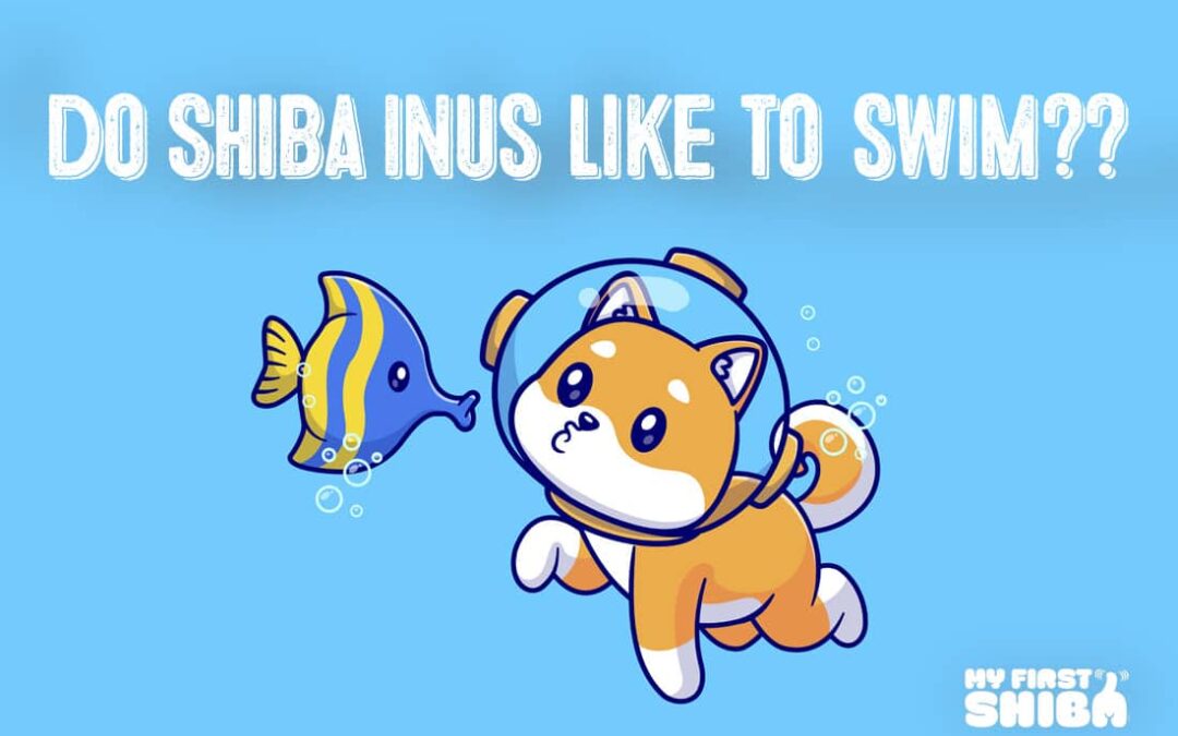 so shiba inus like to swim cute cartoon infographic