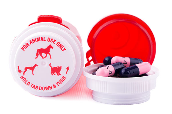 dog antibiotics in gel capsules