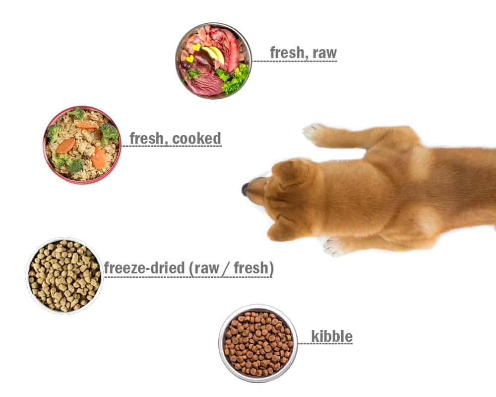 Shiba Inu food / nutrition choices
