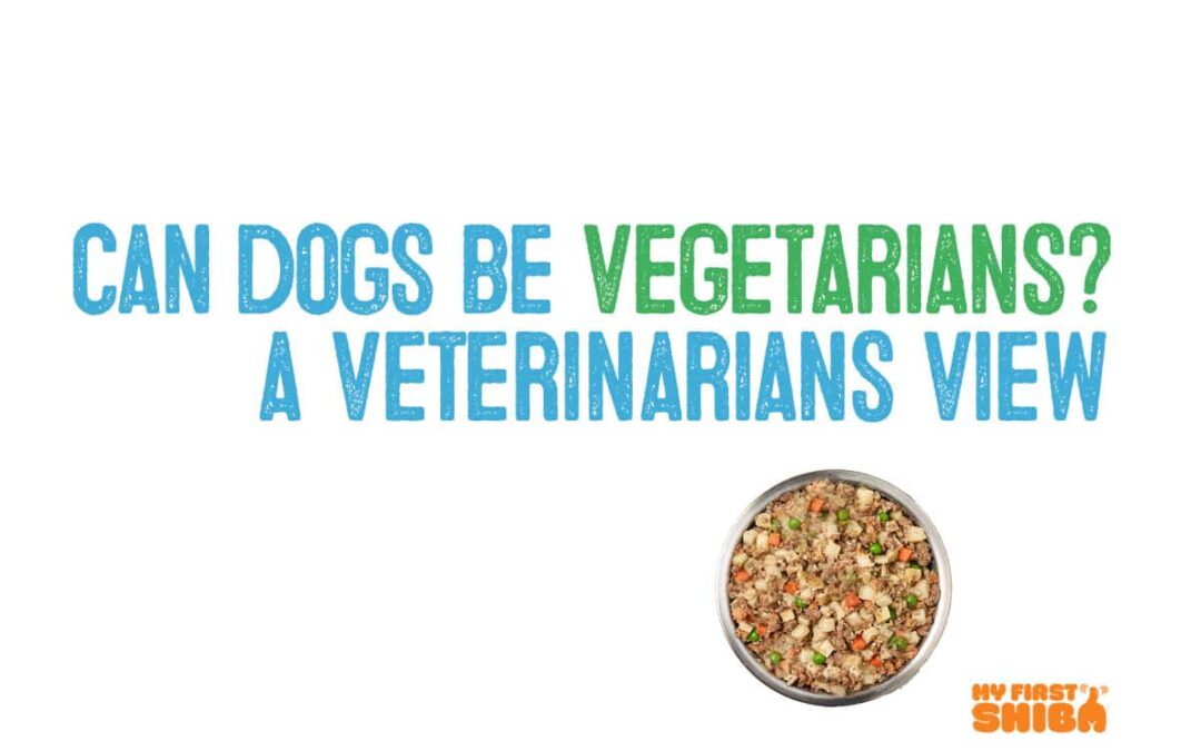 Can dogs be vegetarian infographic